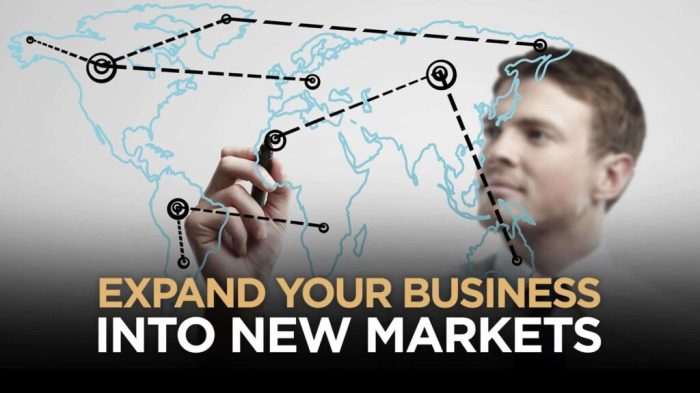 Grow business expanding new markets