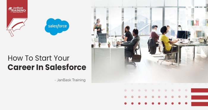 The ultimate guide to building a successful salesforce career
