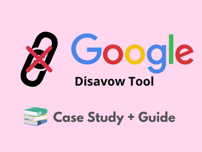 Google disavow tool seo