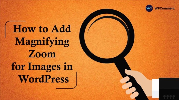 How to add magnifying zoom for images in wordpress