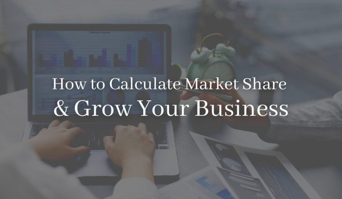 How to calculate market share