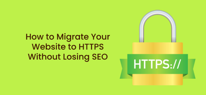 Website seo redesigning losing redesign Website seo redesigning losing redesign