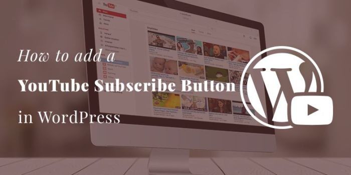 How to add youtube subscribe button in wordpress
