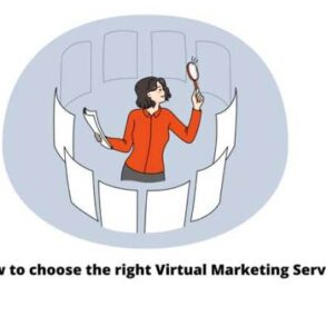 Virtual marketing and business development for the professional services
