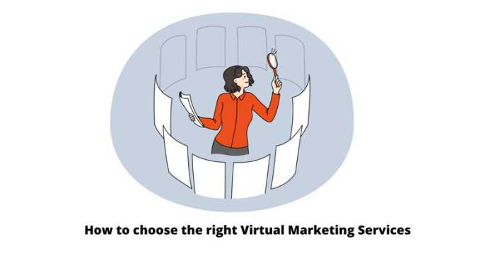 Virtual marketing and business development for the professional services
