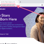 What is a subdomain