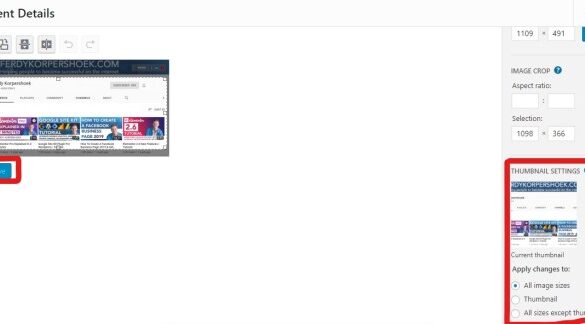How to easily serve scaled images in wordpress