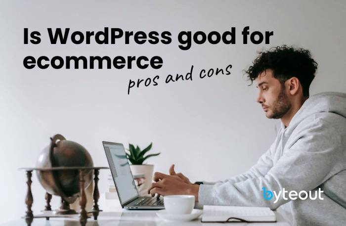 Is wordpress right choice for ecommerce websites