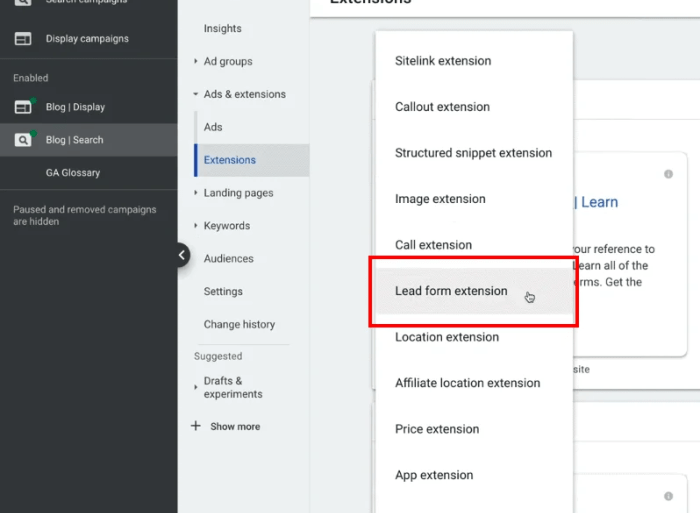 Google lead form extensions