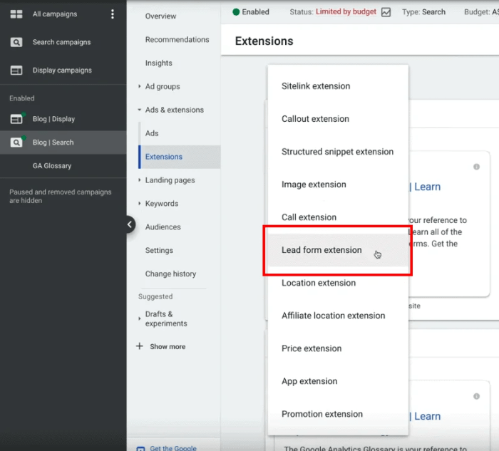 Google lead form extensions