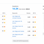 How to build website authority