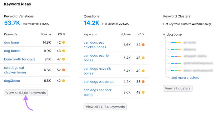 How to build website authority