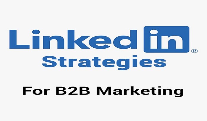 Linkedin strategies b2b marketing