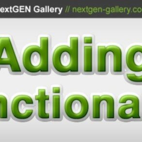 How to fix nextgen conflict with gravity form