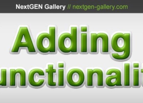 How to fix nextgen conflict with gravity form