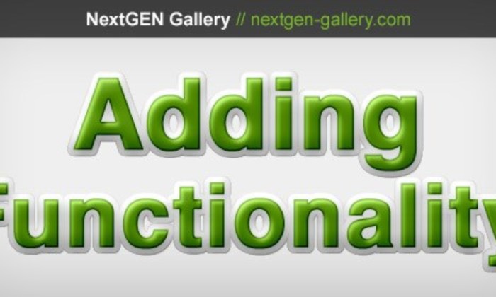 Nextgen How to fix nextgen conflict with gravity form