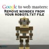 Website 101 how to use robot txt files