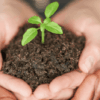 Getting started with lead nurturing