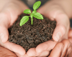 Getting started with lead nurturing