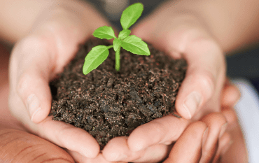 Getting started with lead nurturing