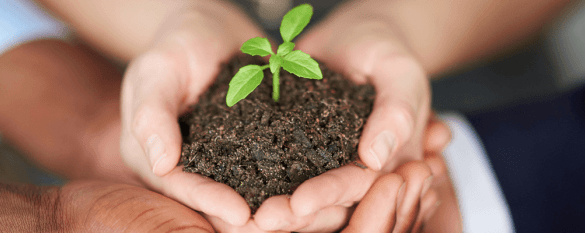 Getting started with lead nurturing