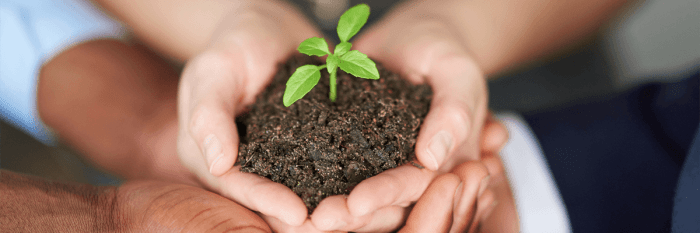 Getting started with lead nurturing
