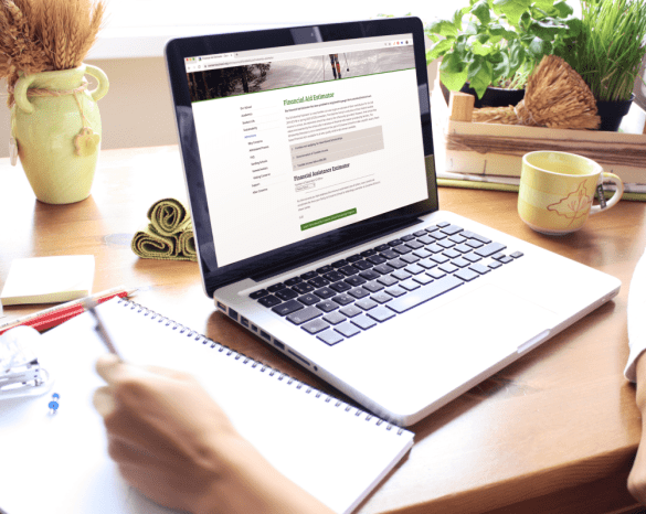 Tips for developing a great online form