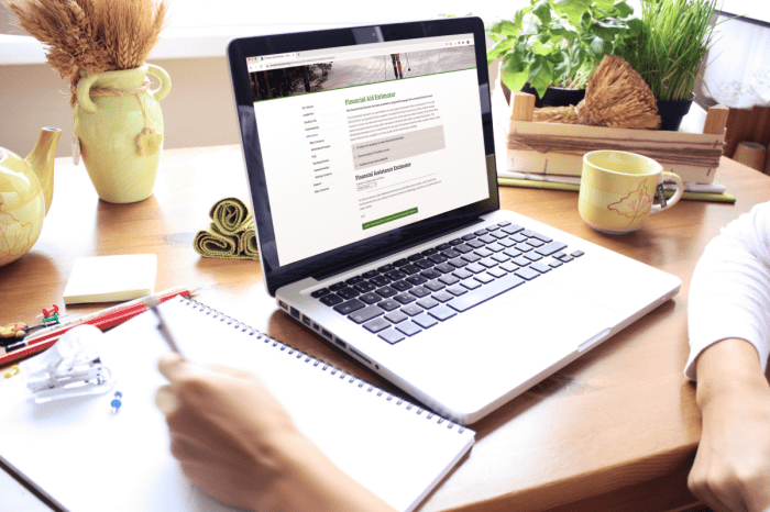 Tips for developing a great online form