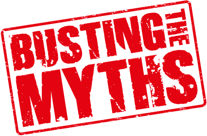 Google debunks redirect types myths