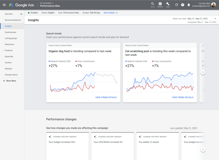 Google performance max new customer goals image controls