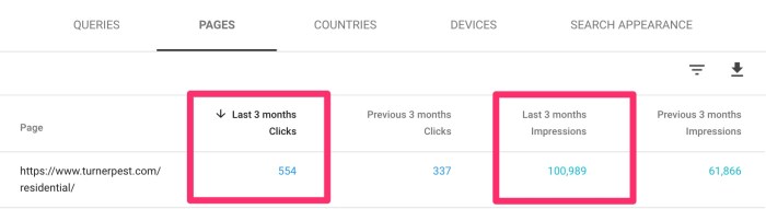 Attract more customers with fresh pest control content