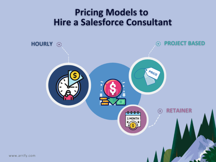 Salesforce hire consultant signs need top Boost your business with expert implementation and customization hire a salesforce consultant