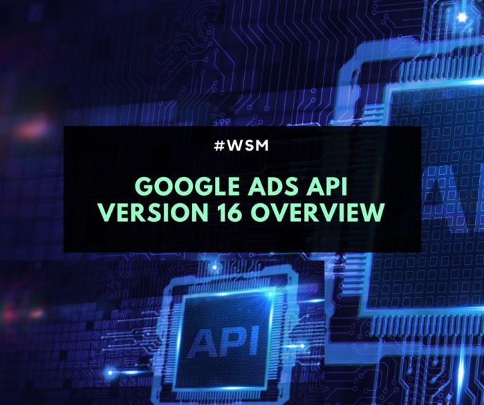 Google ads api v17 sunset