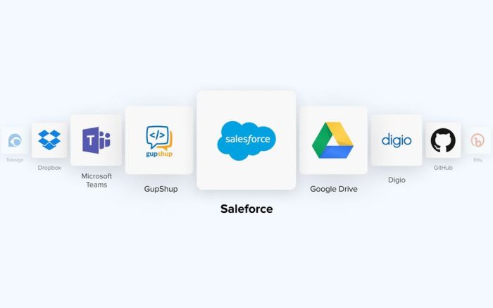 Salesforce solution elevate your sales efforts