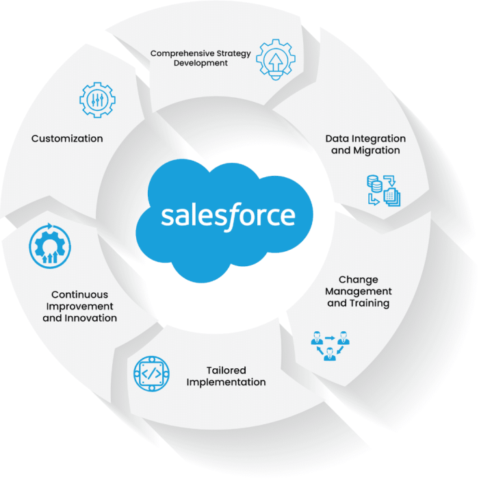 Real cost of salesforce consulting services