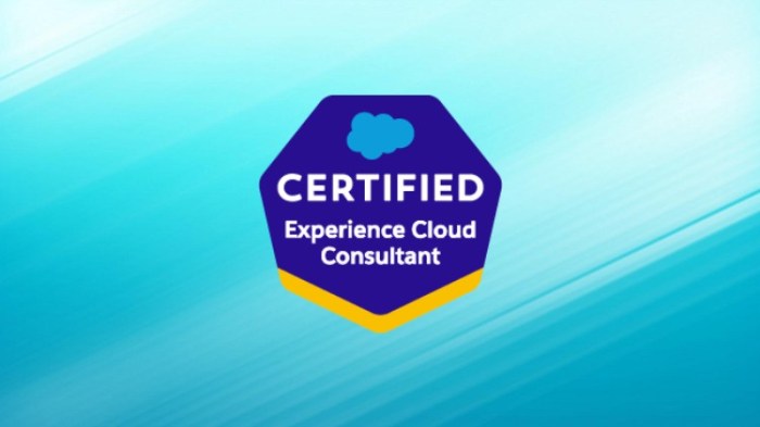 The Journey to Admin: Tips for Becoming Salesforce Certified | Access ... Certified salesforce consultants driving success with expertise