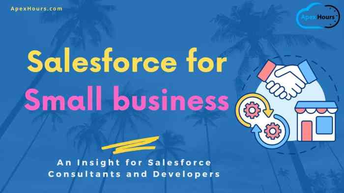 Salesforce for small businesses