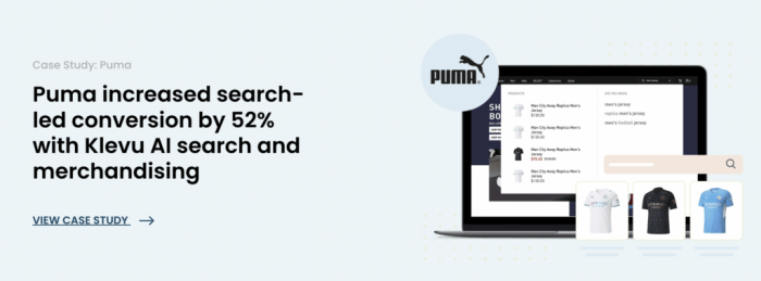 Ask an seo how ecommerce stores deal with ai overviews
