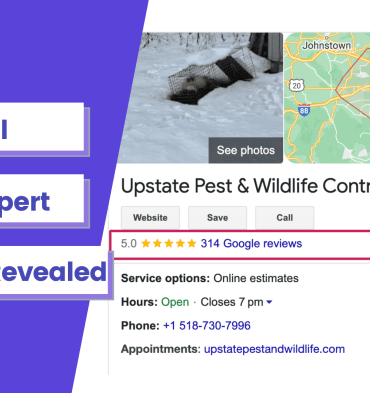 Pest control leverage your reviews to increase sales