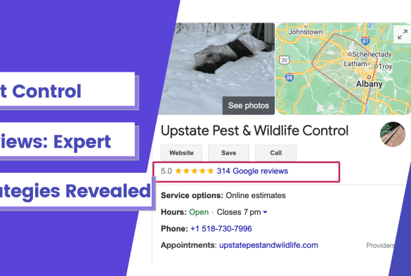 Pest control leverage your reviews to increase sales