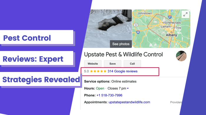 Pest control leverage your reviews to increase sales