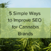 Grow cannabis dispensary seo presence