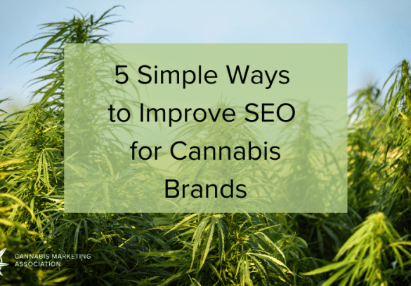 Grow cannabis dispensary seo presence