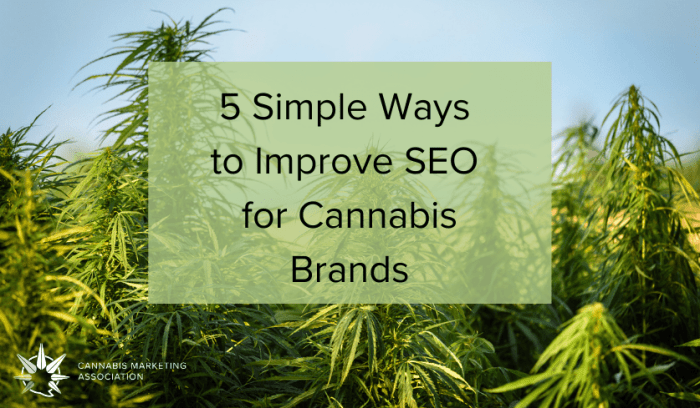 Grow cannabis dispensary seo presence