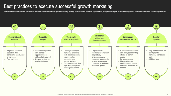 What are the top marketing techniques of high growth organizations