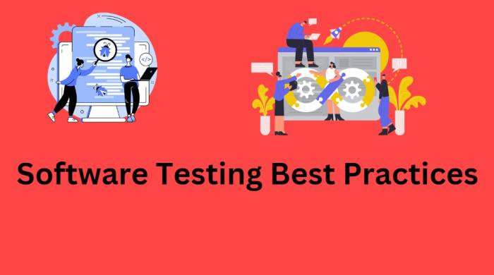 Best practices for software testing