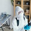 Attract more customers with fresh pest control content