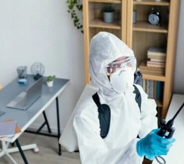 Attract more customers with fresh pest control content