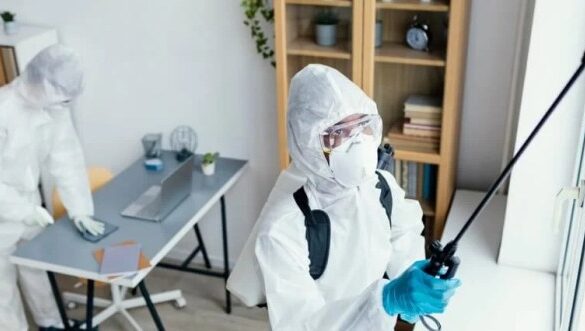 Attract more customers with fresh pest control content