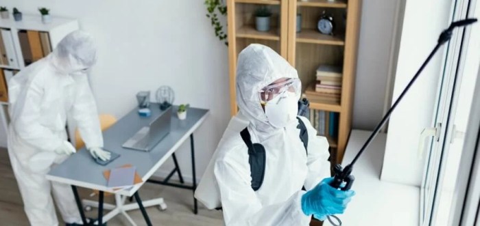 Attract more customers with fresh pest control content